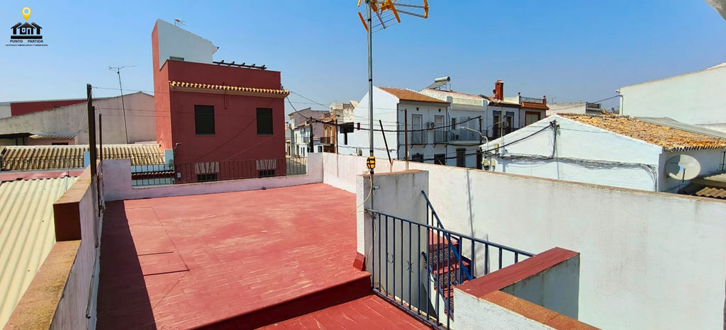 LA PALOMA (1)